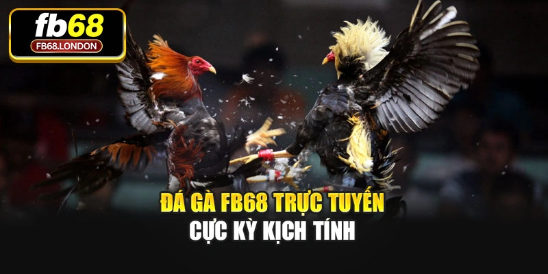 Đá gà Fb68 trực tuyến cực kỳ kịch tính