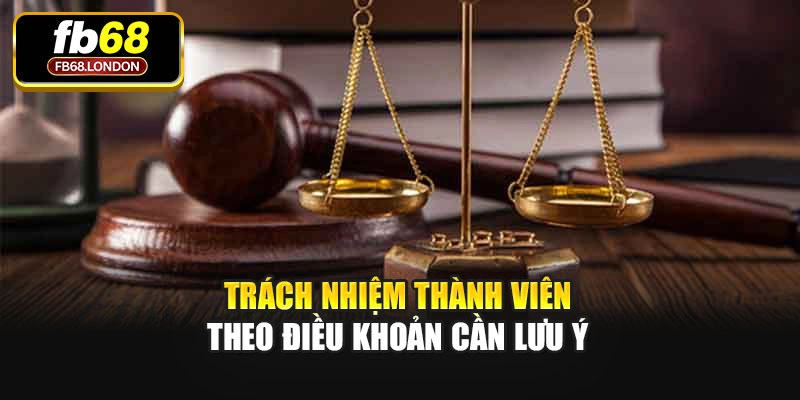 Trách nhiệm thành viên theo điều khoản cần lưu ý