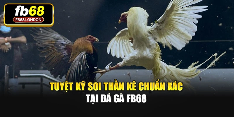 Tuyệt kỹ soi thần kê chuẩn xác tại Đá gà Fb68